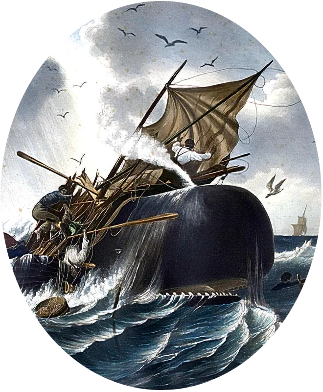 New Bedford Chase Graphic